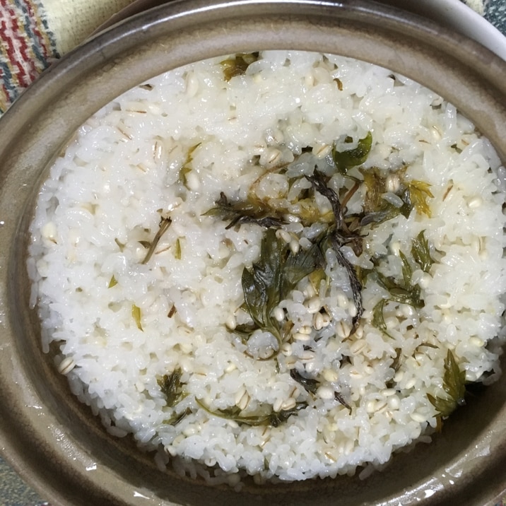土鍋でよもぎ麦ご飯 レシピ 作り方 By かすお 楽天レシピ 土鍋でよもぎ麦ご飯 レシピ 作り方 By かすお 楽天レシピ